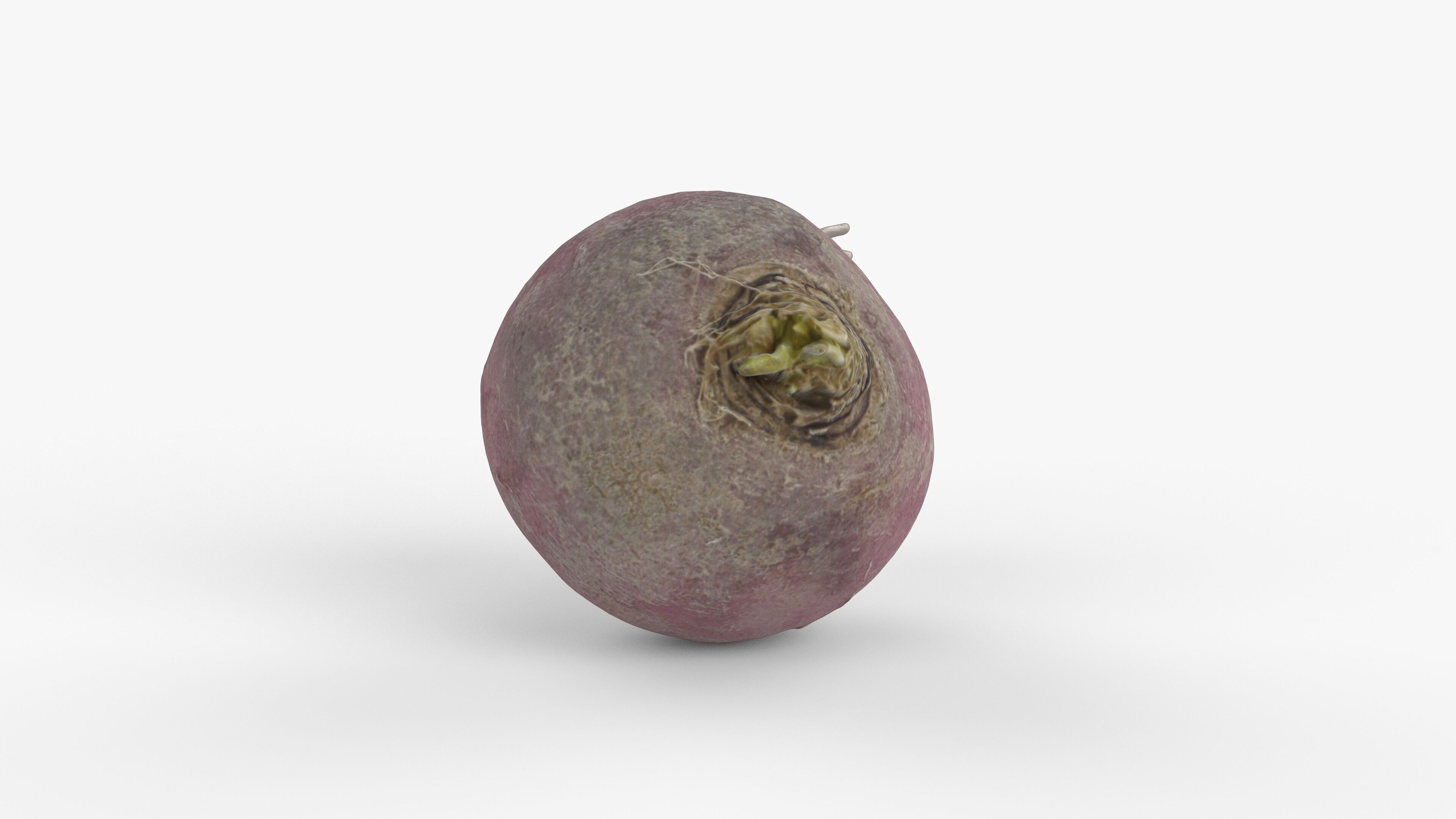 Photorealistic 3D scan of pink radish Low-poly 3D model_6
