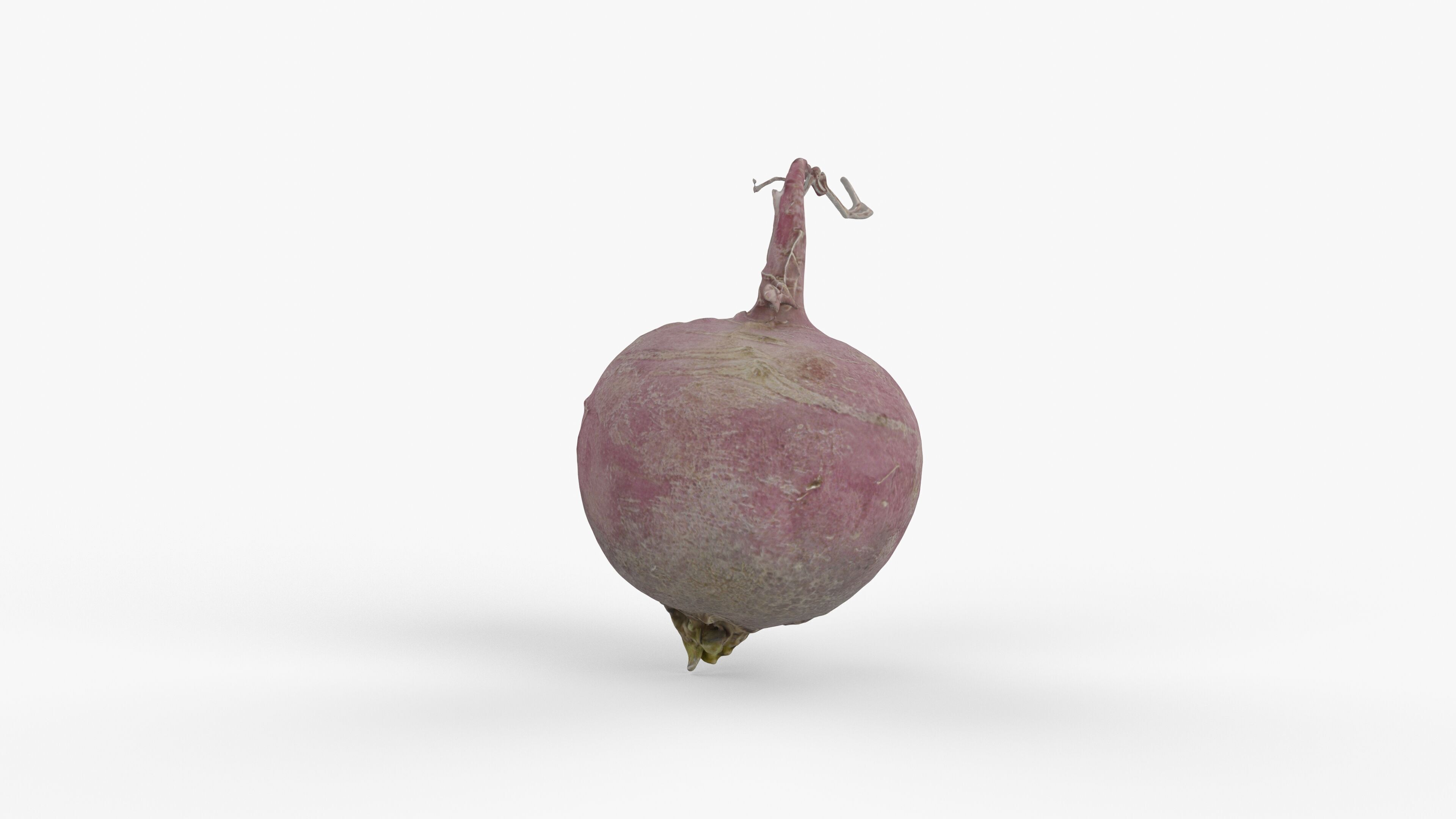 Photorealistic 3D scan of pink radish Low-poly 3D model_5