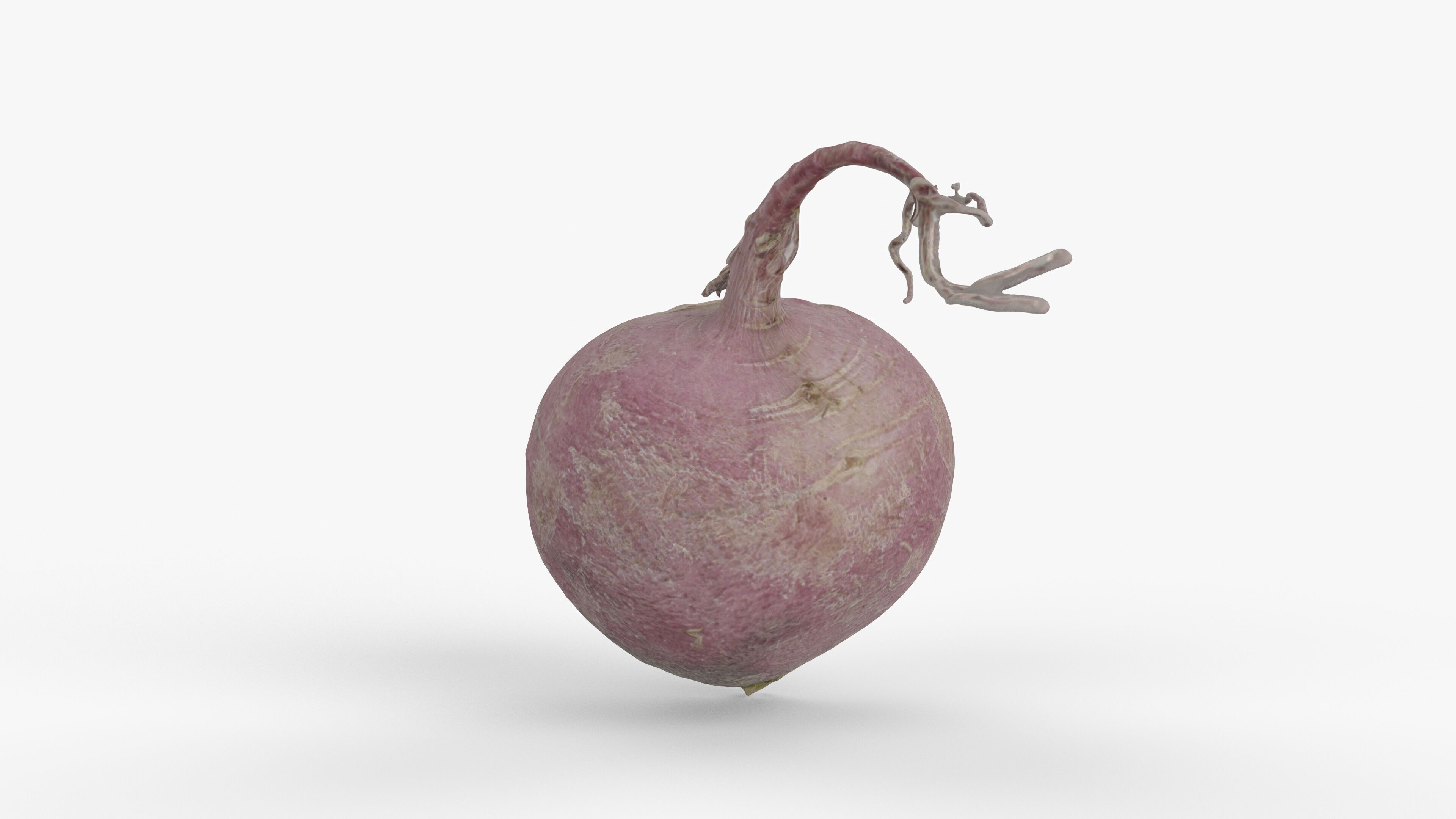Photorealistic 3D scan of pink radish Low-poly 3D model_9