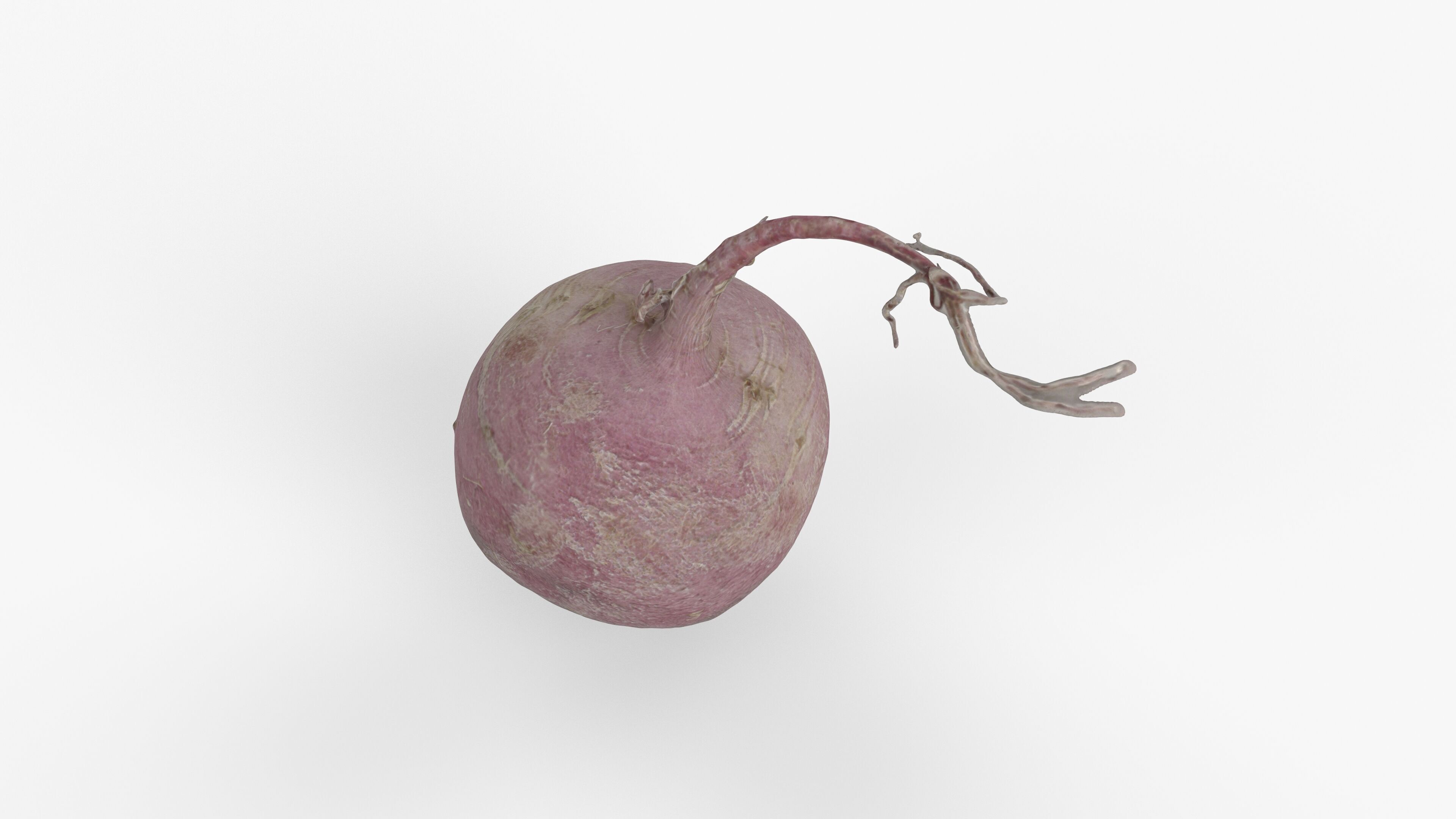 Photorealistic 3D scan of pink radish Low-poly 3D model_8