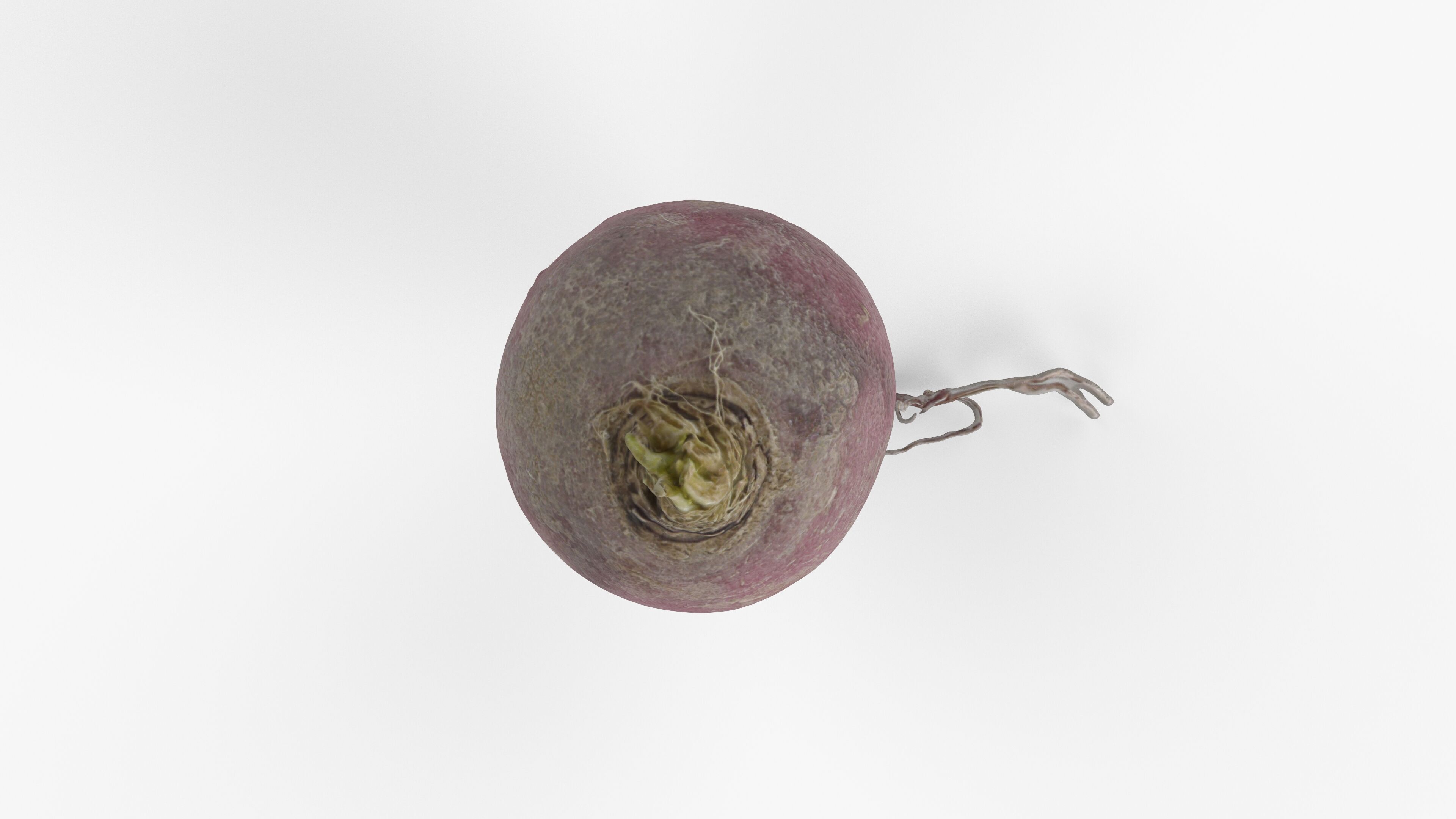 Photorealistic 3D scan of pink radish Low-poly 3D model_10