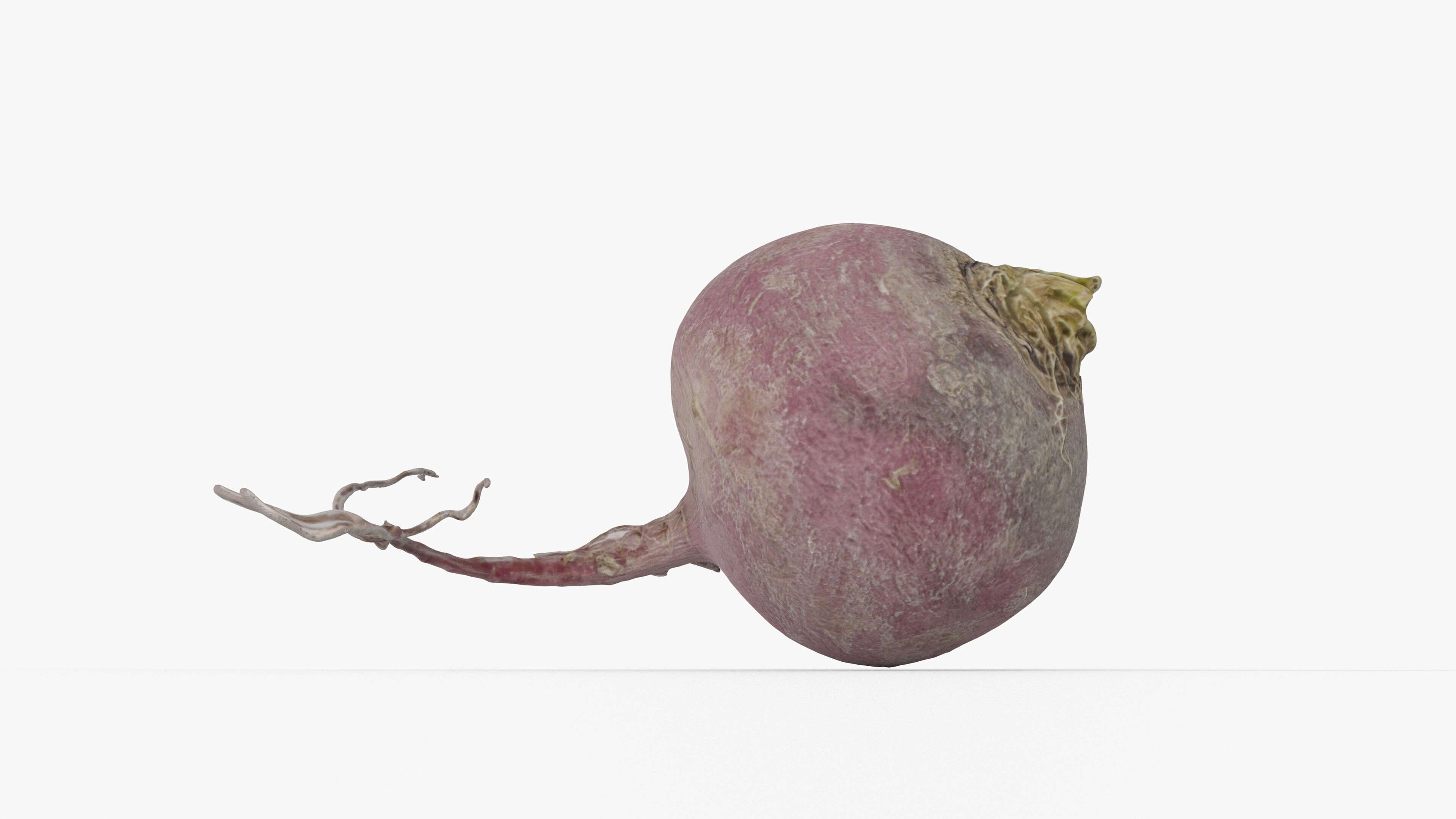 Photorealistic 3D scan of pink radish Low-poly 3D model_14