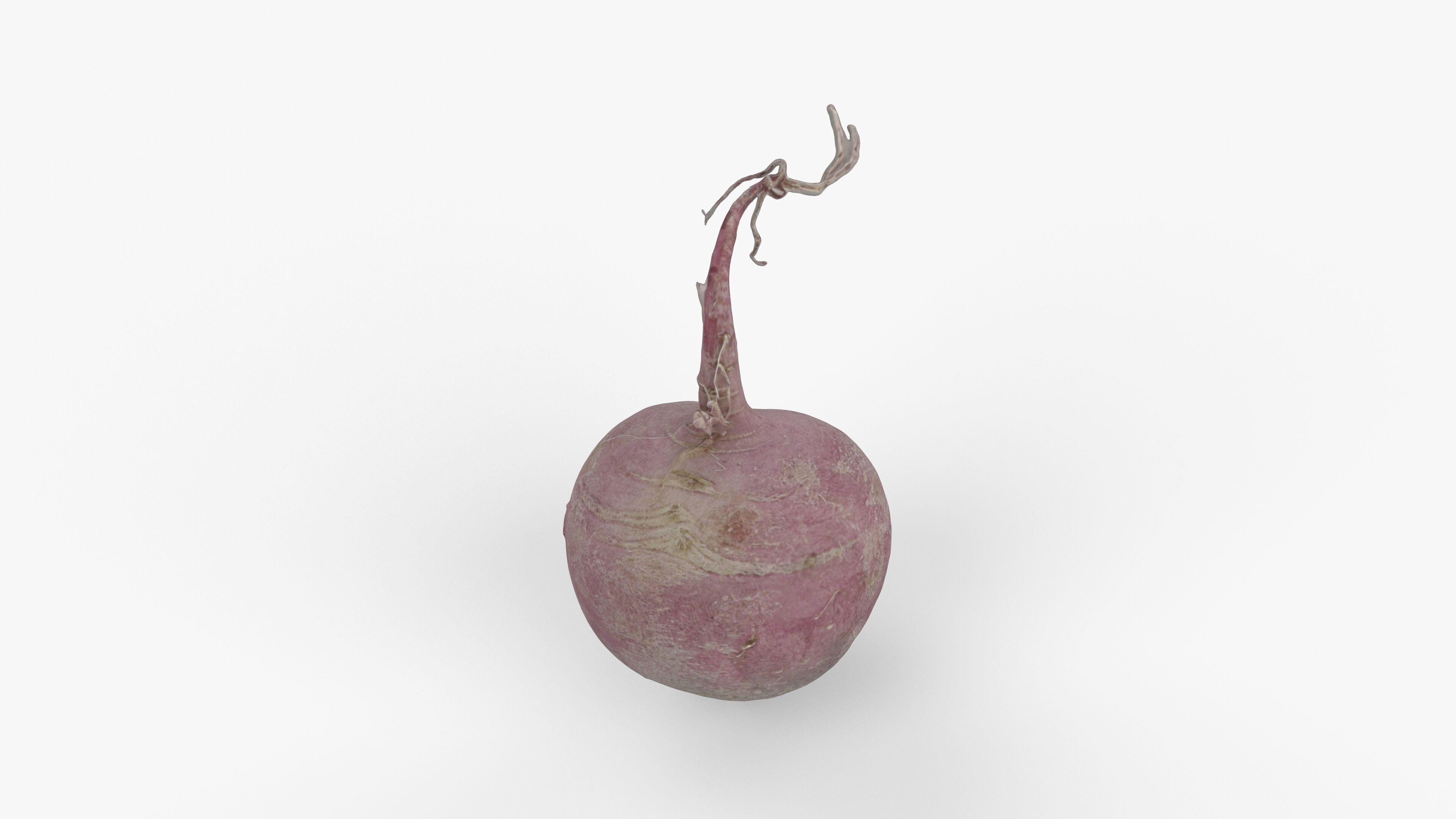 Photorealistic 3D scan of pink radish Low-poly 3D model_11
