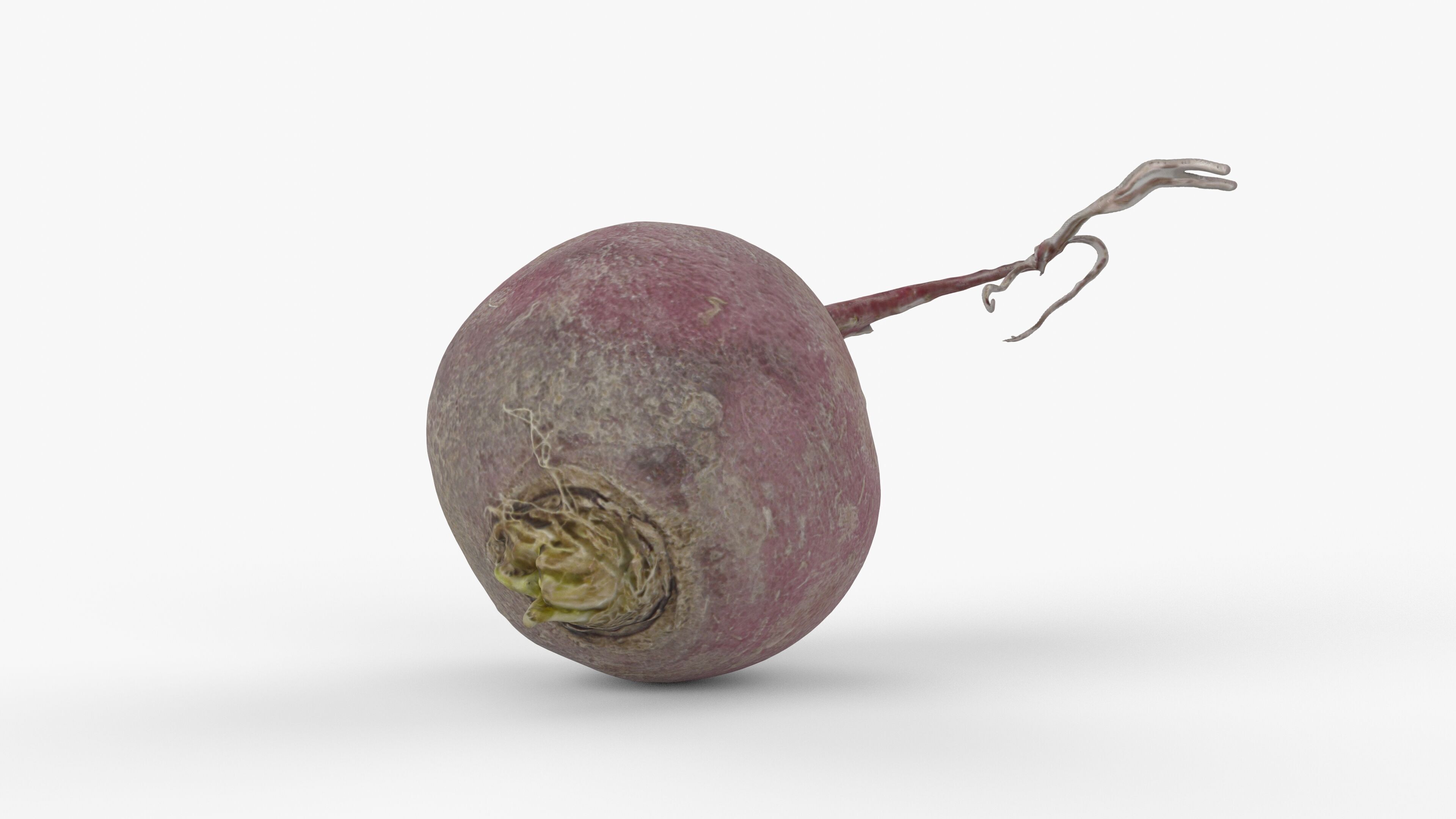 Photorealistic 3D scan of pink radish Low-poly 3D model_4