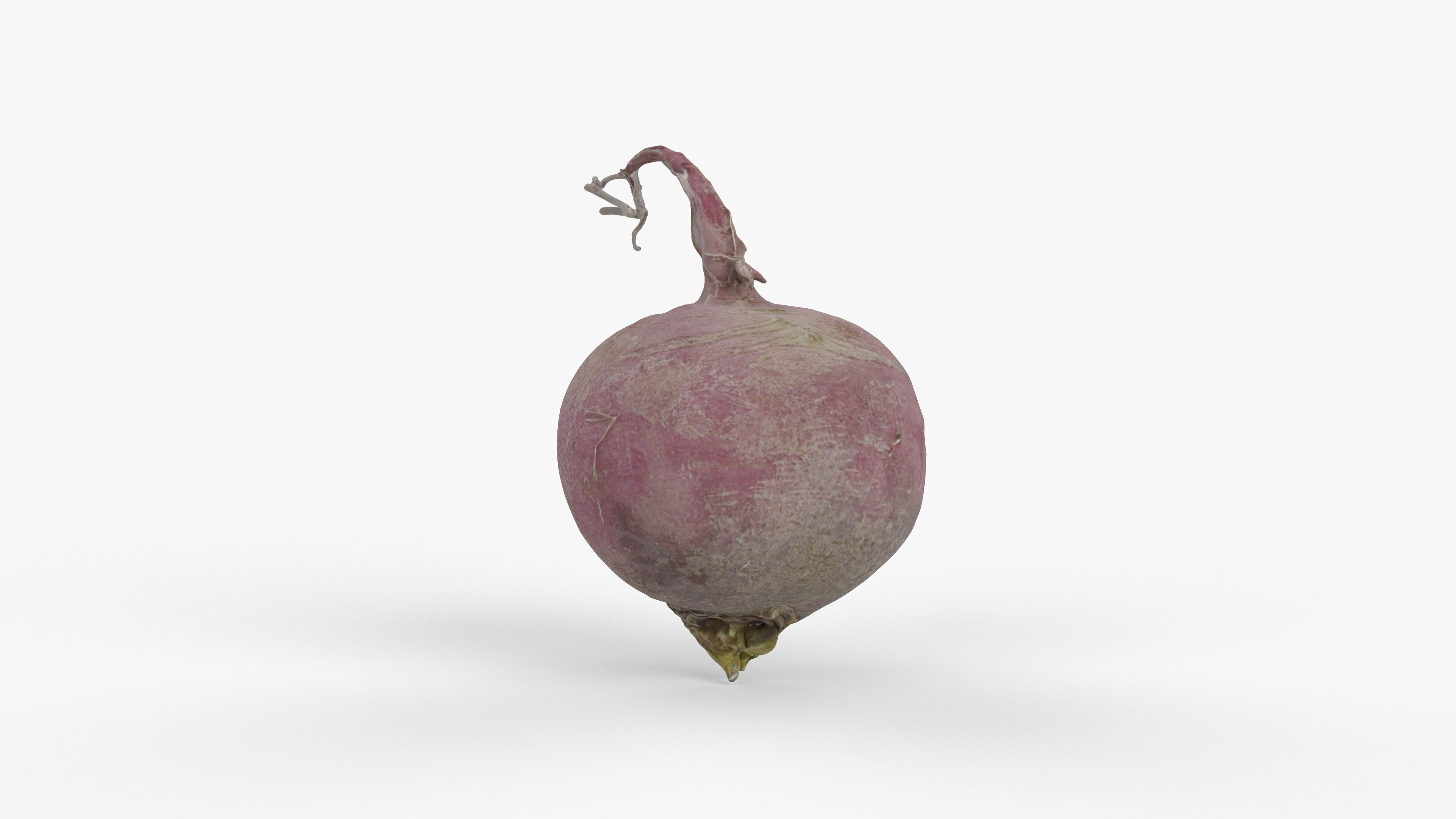 Photorealistic 3D scan of pink radish Low-poly 3D model_7