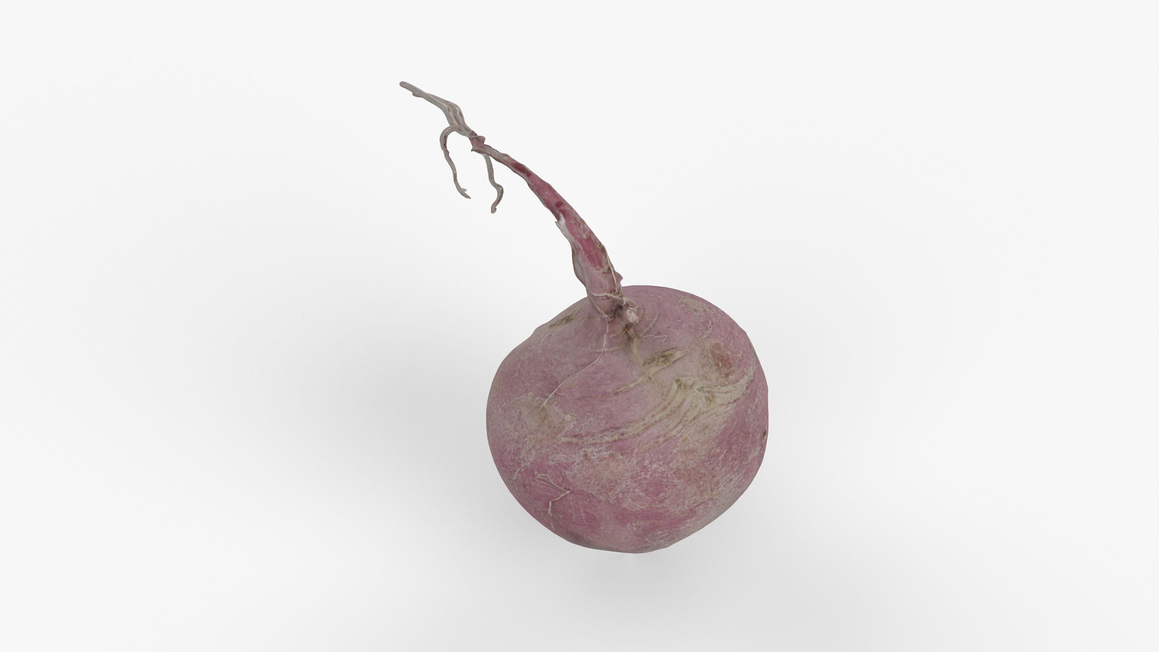 Photorealistic 3D scan of pink radish Low-poly 3D model_12