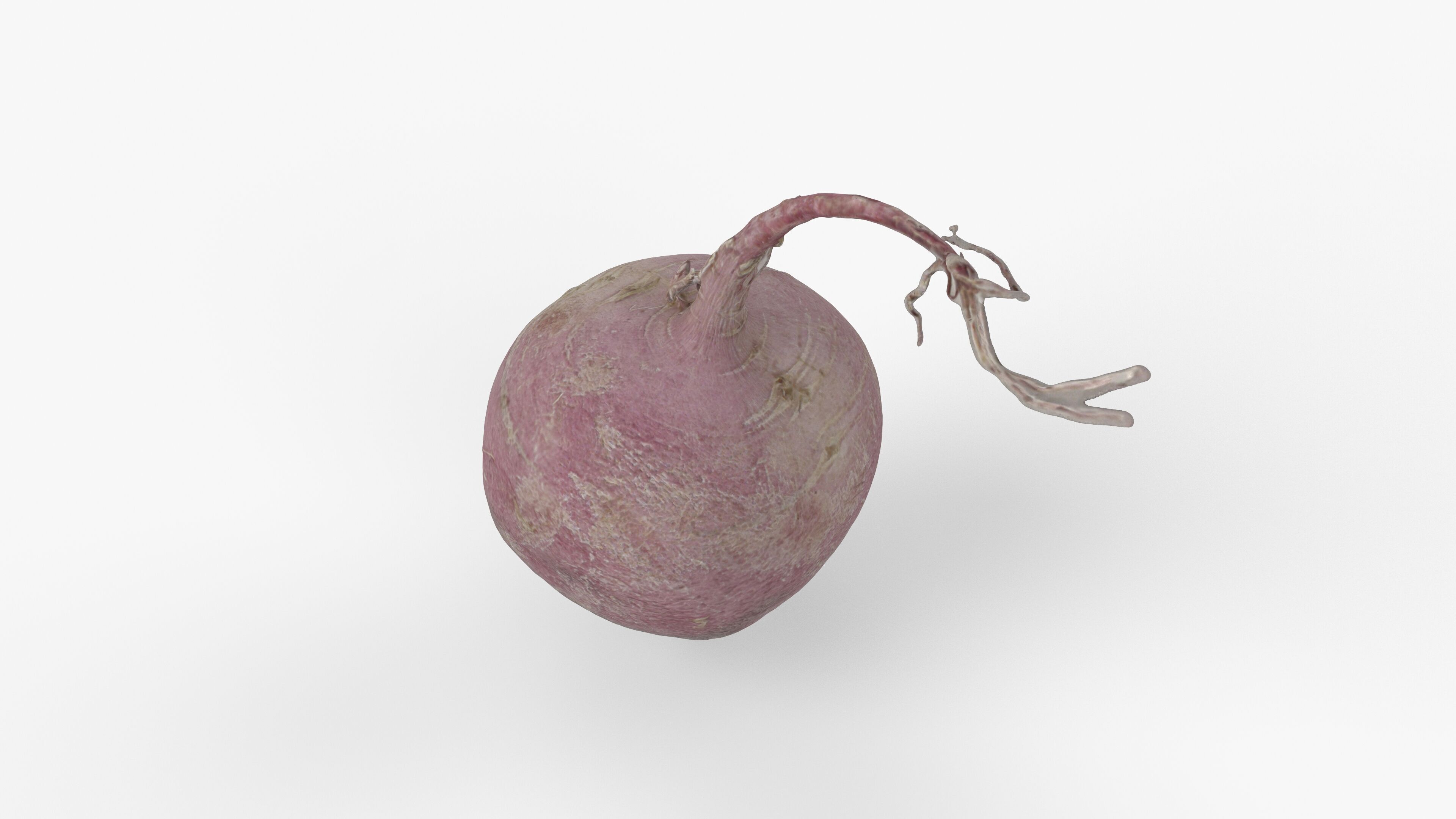 Photorealistic 3D scan of pink radish Low-poly 3D model_2