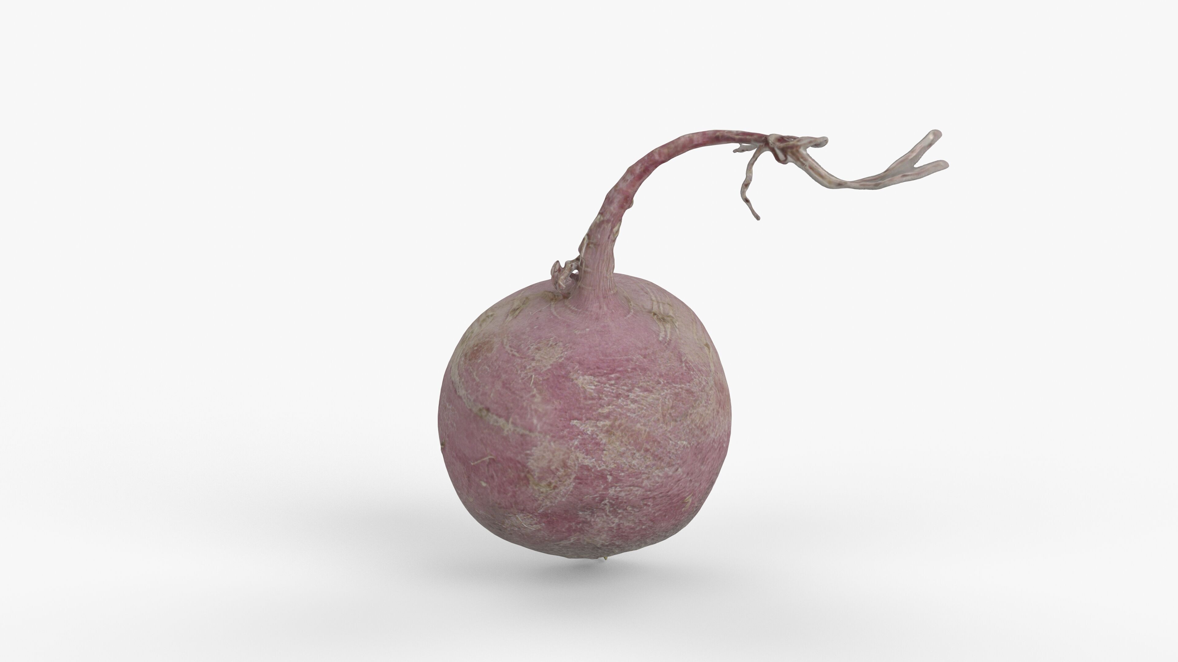 Photorealistic 3D scan of pink radish Low-poly 3D model_3