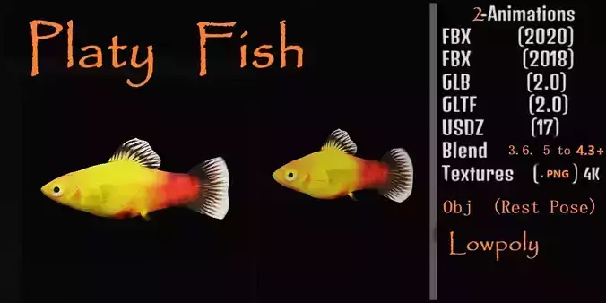 Platy Freshwater Fish