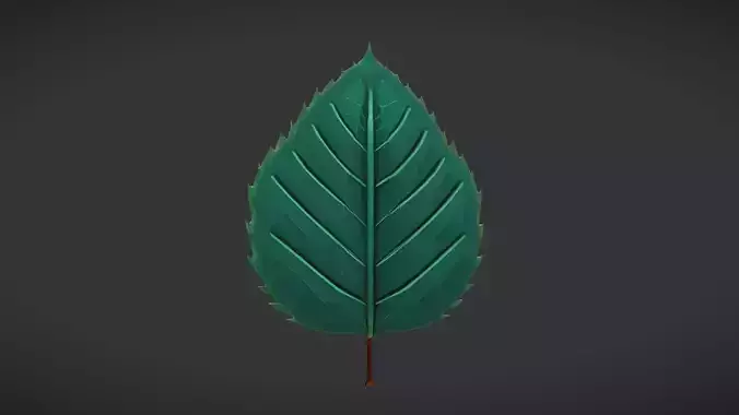 detailed green leaf illustration