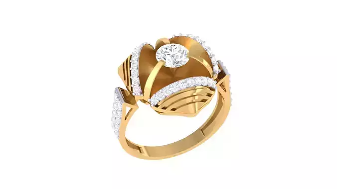 Women Ring  Render 3dm STL OBJ FBX Details