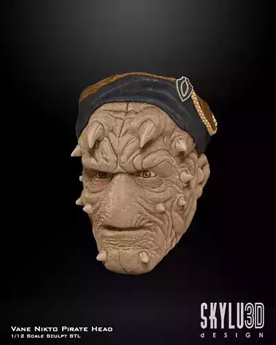 Vane Nikto Pirate Head Sculpt STL