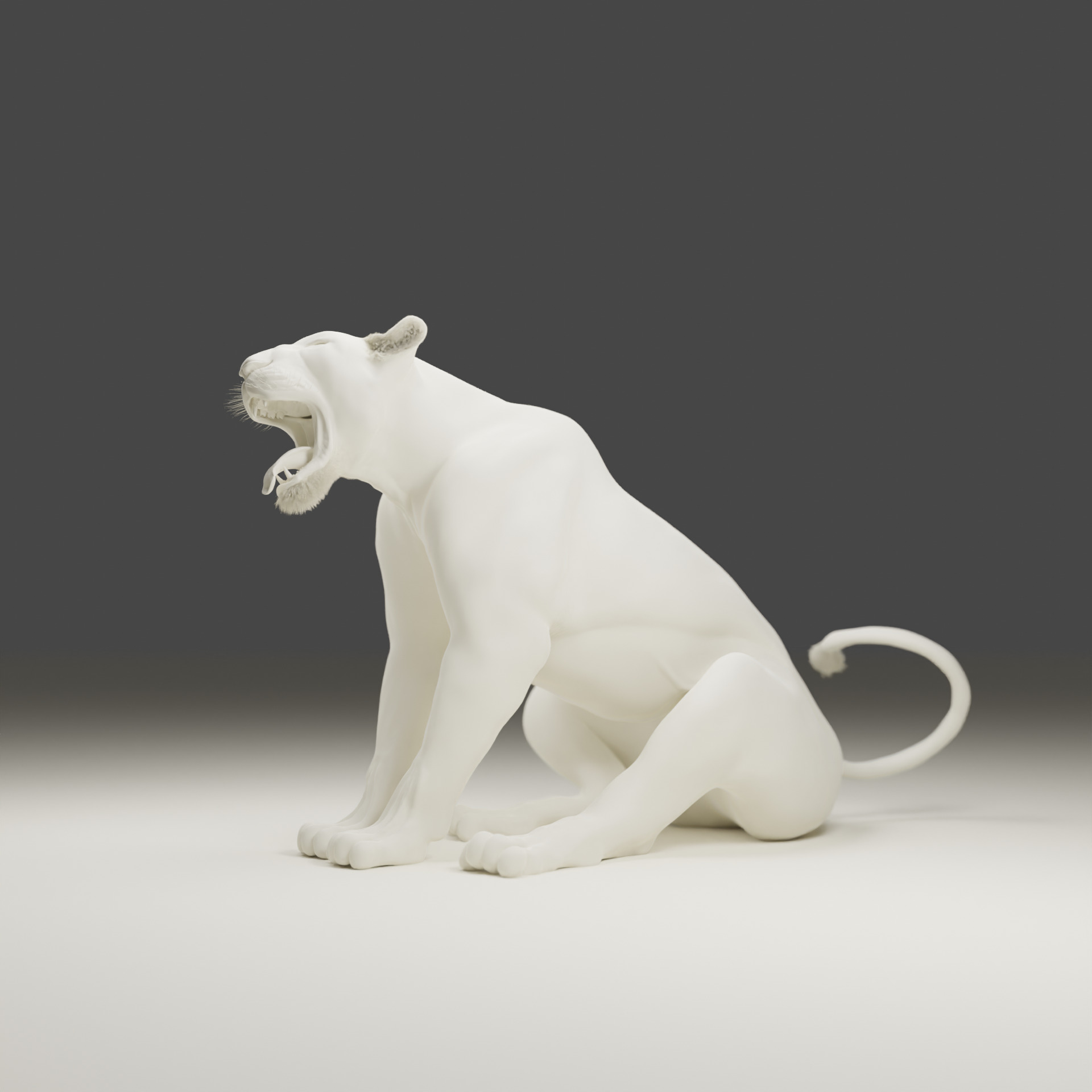 Lioness - 3D Model 3D model_17
