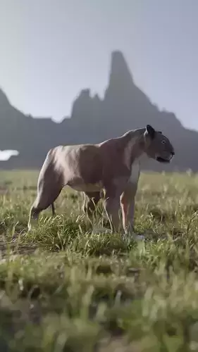 Lioness - 3D Model 3D model Lioness - 3D Model 3D model