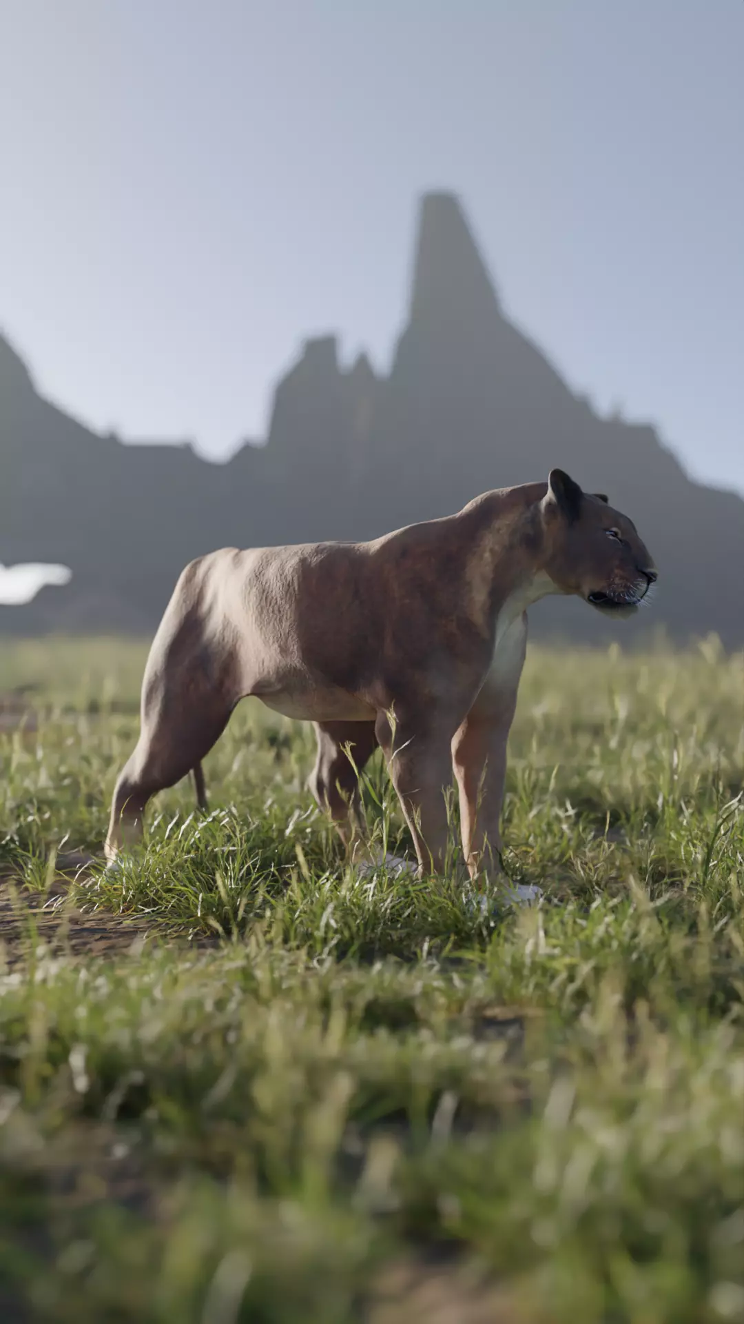 Lioness - 3D Model 3D model_0