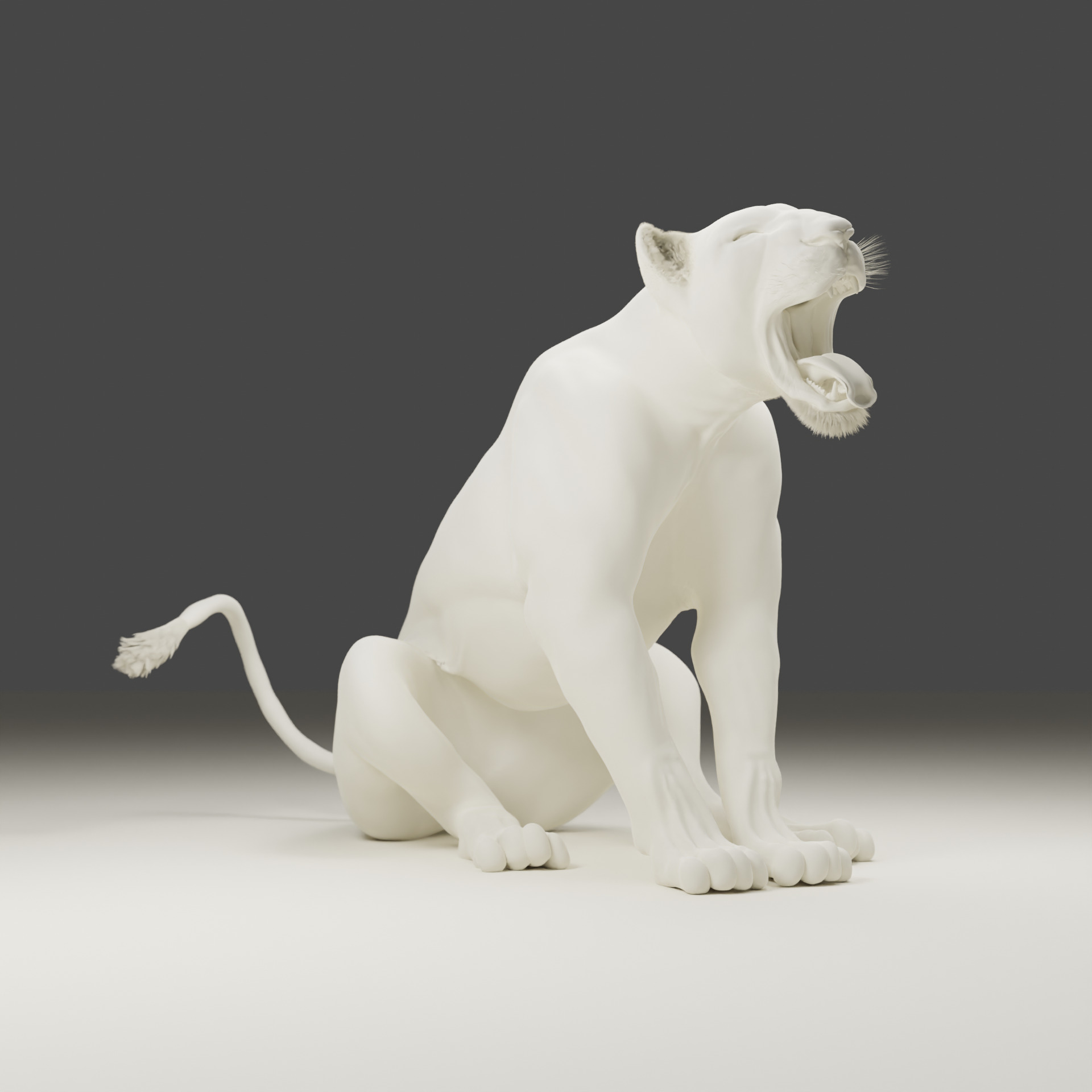 Lioness - 3D Model 3D model_18