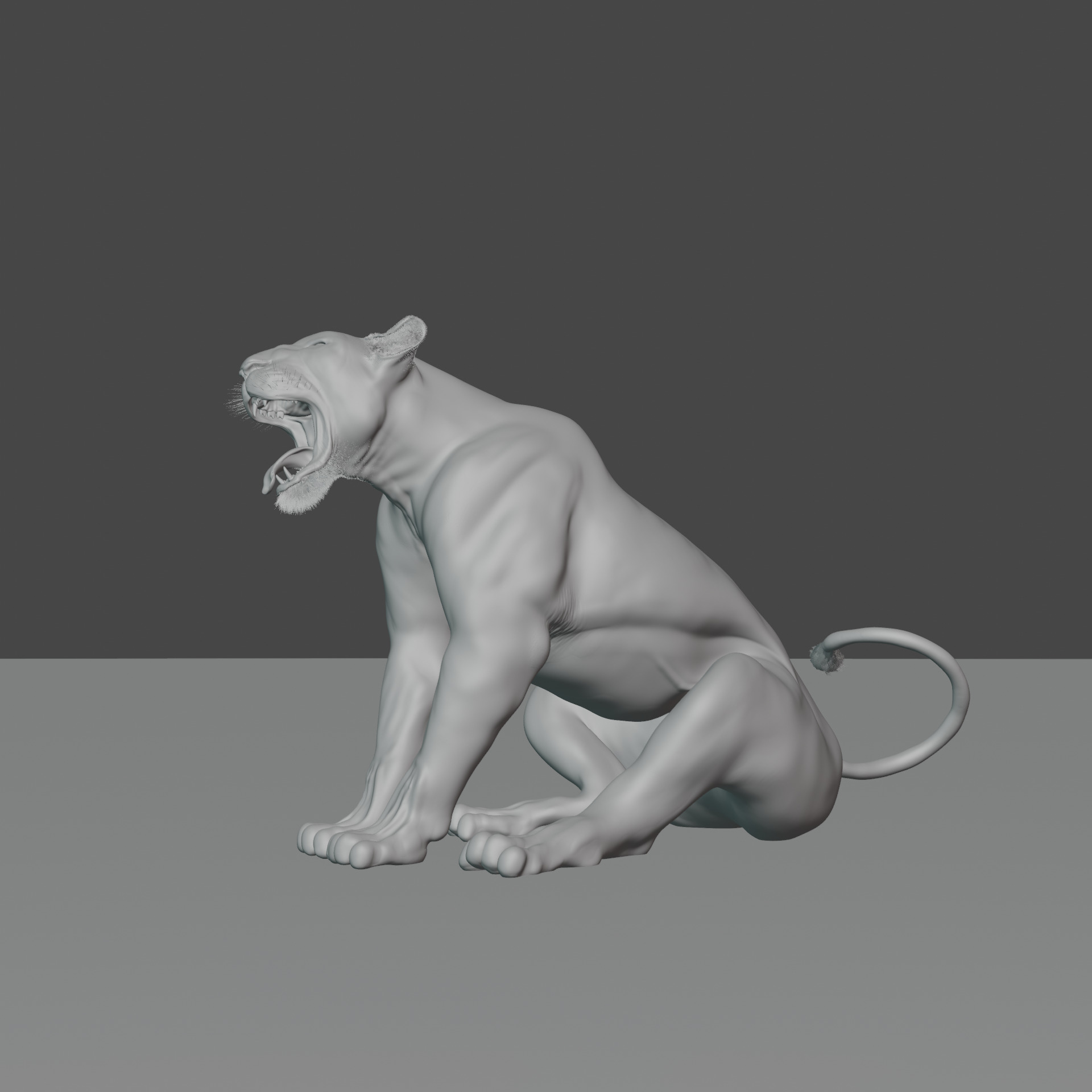 Lioness - 3D Model 3D model_16