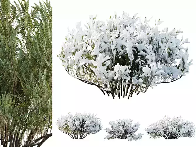 AV Plants Juniperus Sabina Winter Snow 3D model