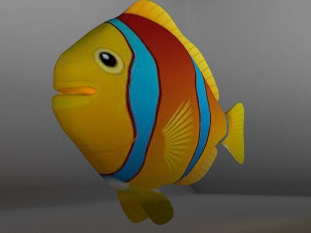 Coral Reef Fish Low-poly 3D model_4