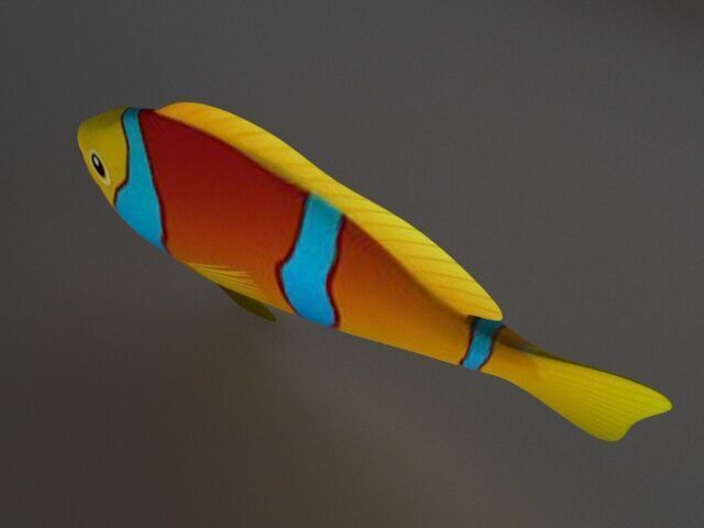 Coral Reef Fish Low-poly 3D model_3