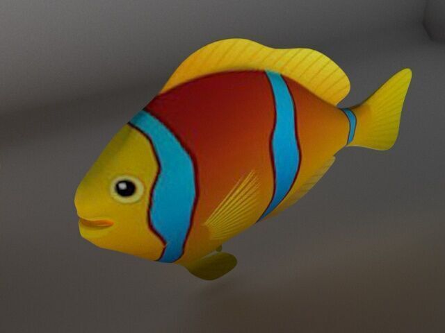 Coral Reef Fish Low-poly 3D model_2