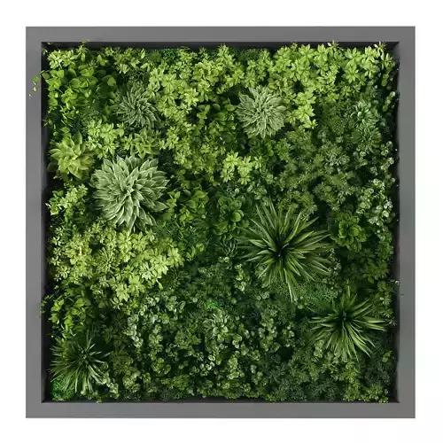 Vertical garden 251
