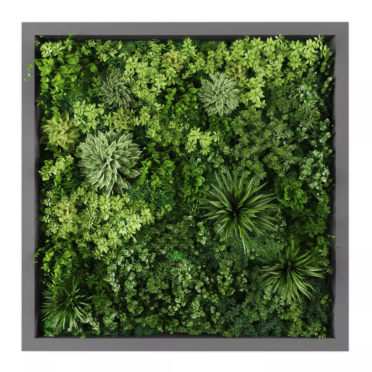 Vertical garden 251 Low-poly 3D model_0