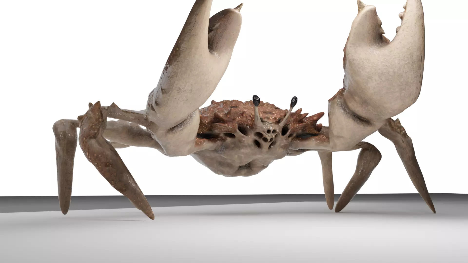 Animated crab 3D model