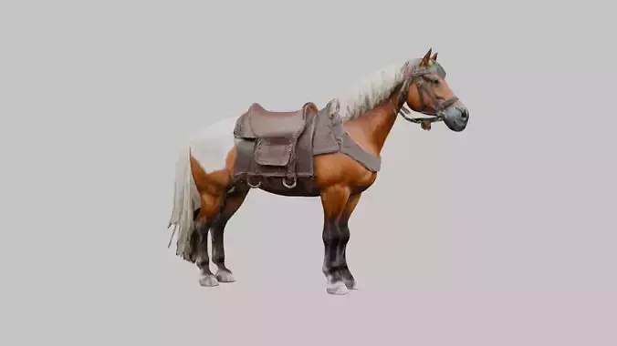 Medieval Horse