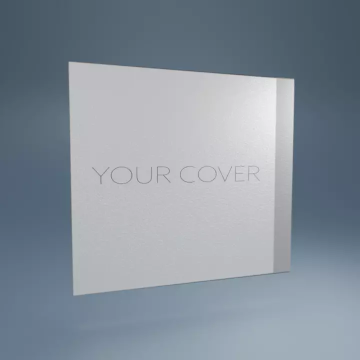 Boite et CD Low-poly 3D model_0