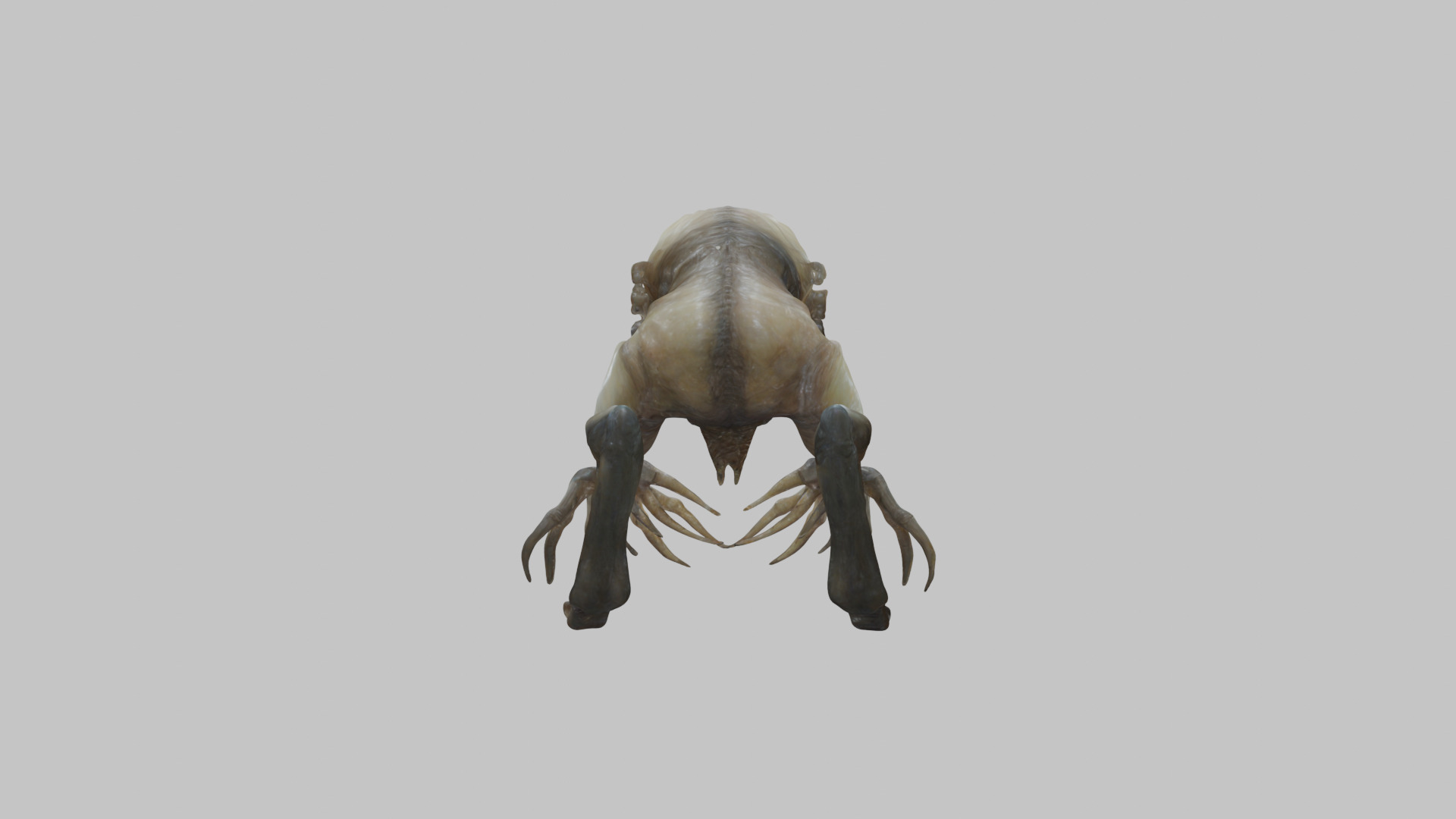 inspiring Hr Giger Facehugger Monster Creature Low-poly 3D model_15