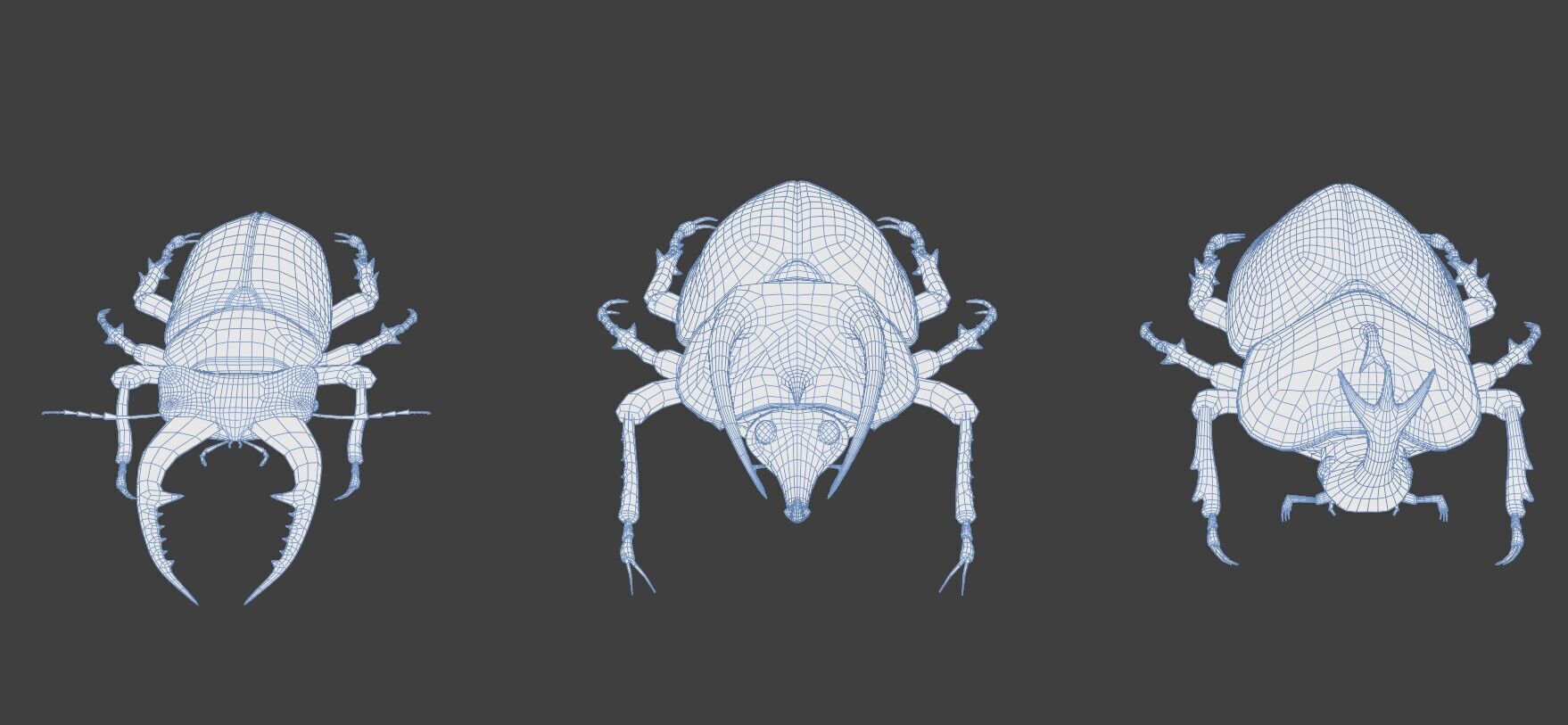 Stag rhinoceros atlas beetles realistic plus gold textures 3D model_12