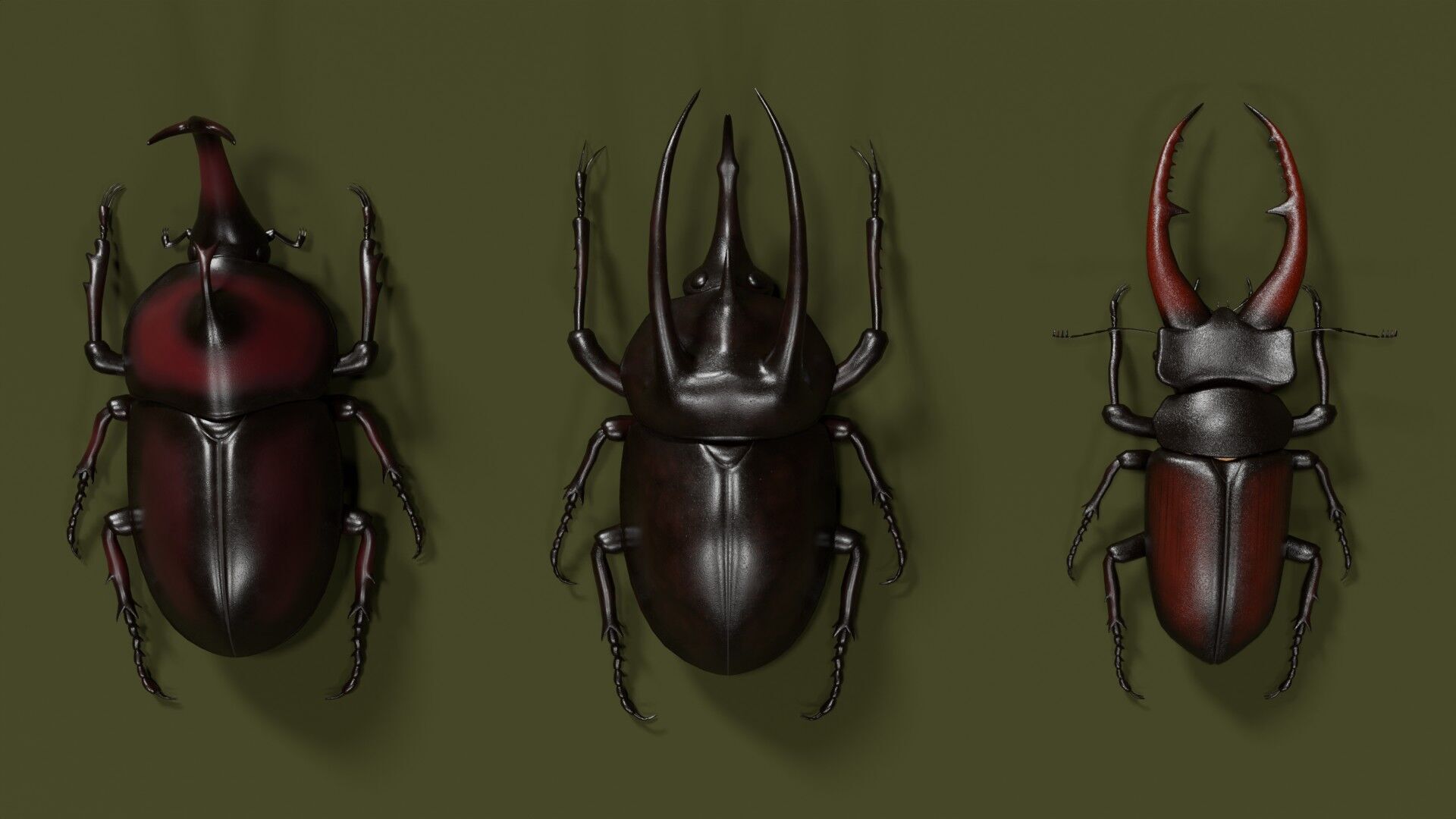 Stag rhinoceros atlas beetles realistic plus gold textures 3D model_5