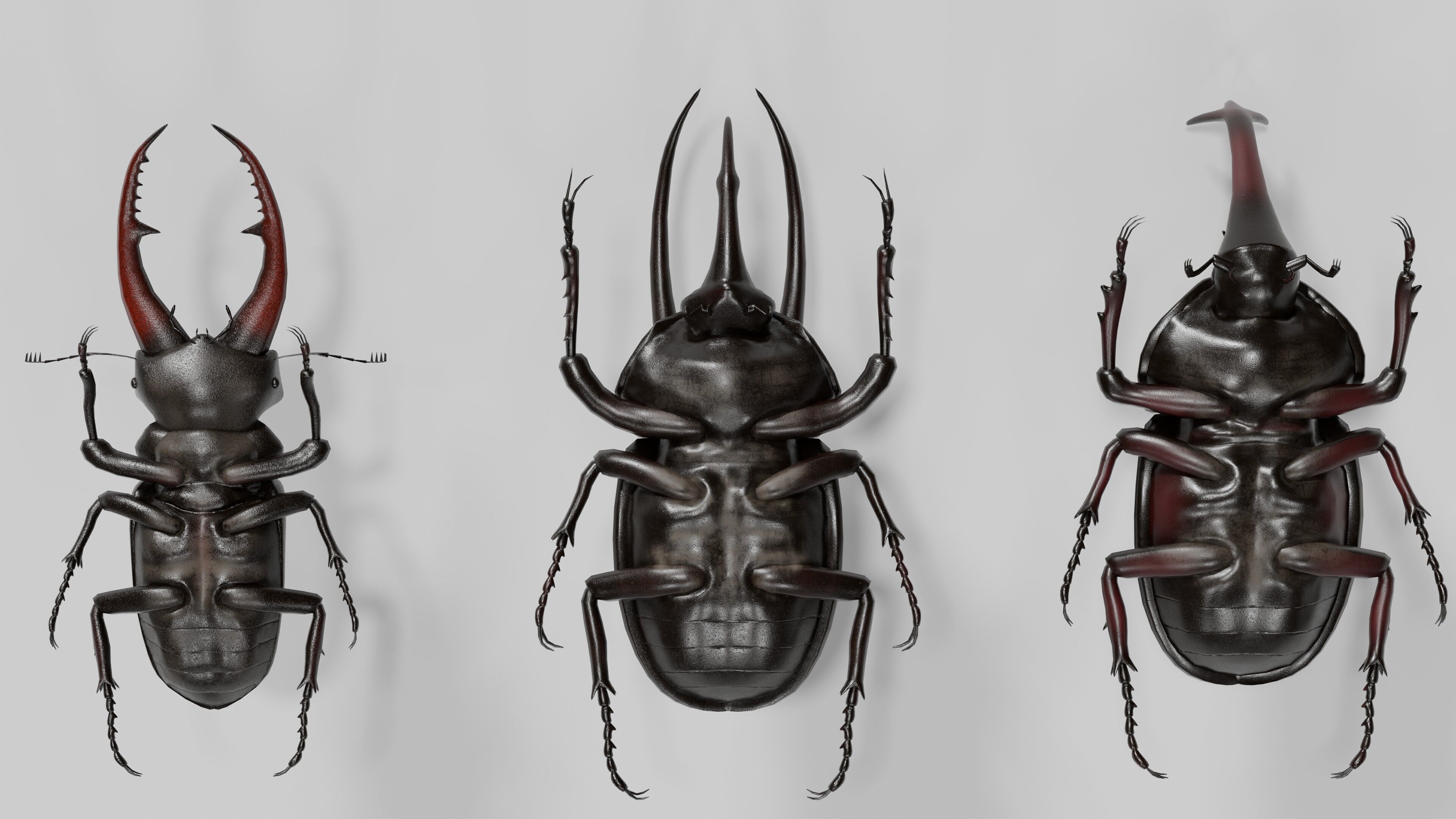 Stag rhinoceros atlas beetles realistic plus gold textures 3D model_1