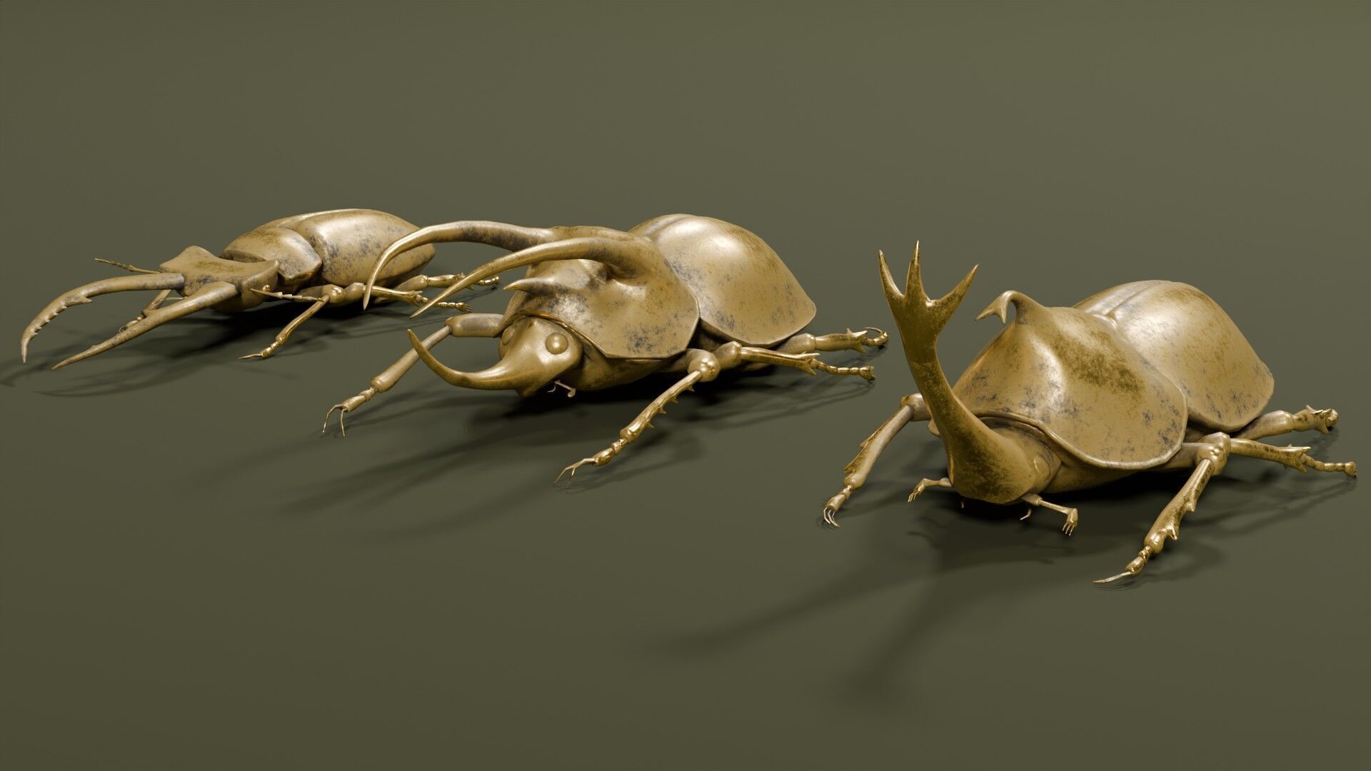 Stag rhinoceros atlas beetles realistic plus gold textures 3D model_9