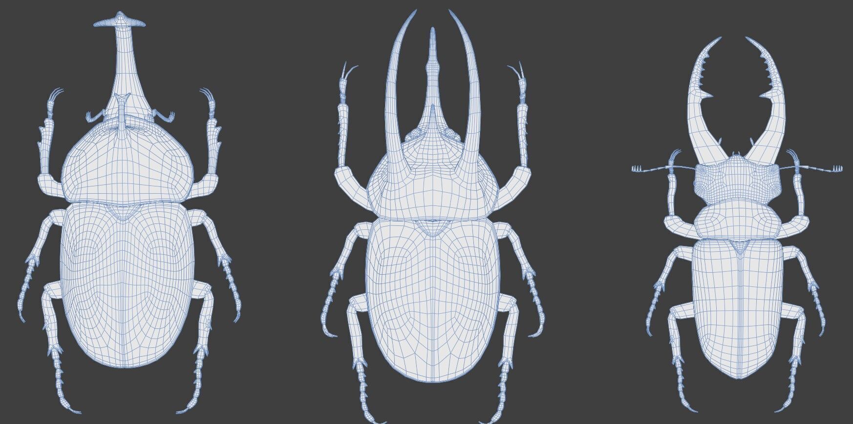 Stag rhinoceros atlas beetles realistic plus gold textures 3D model_10