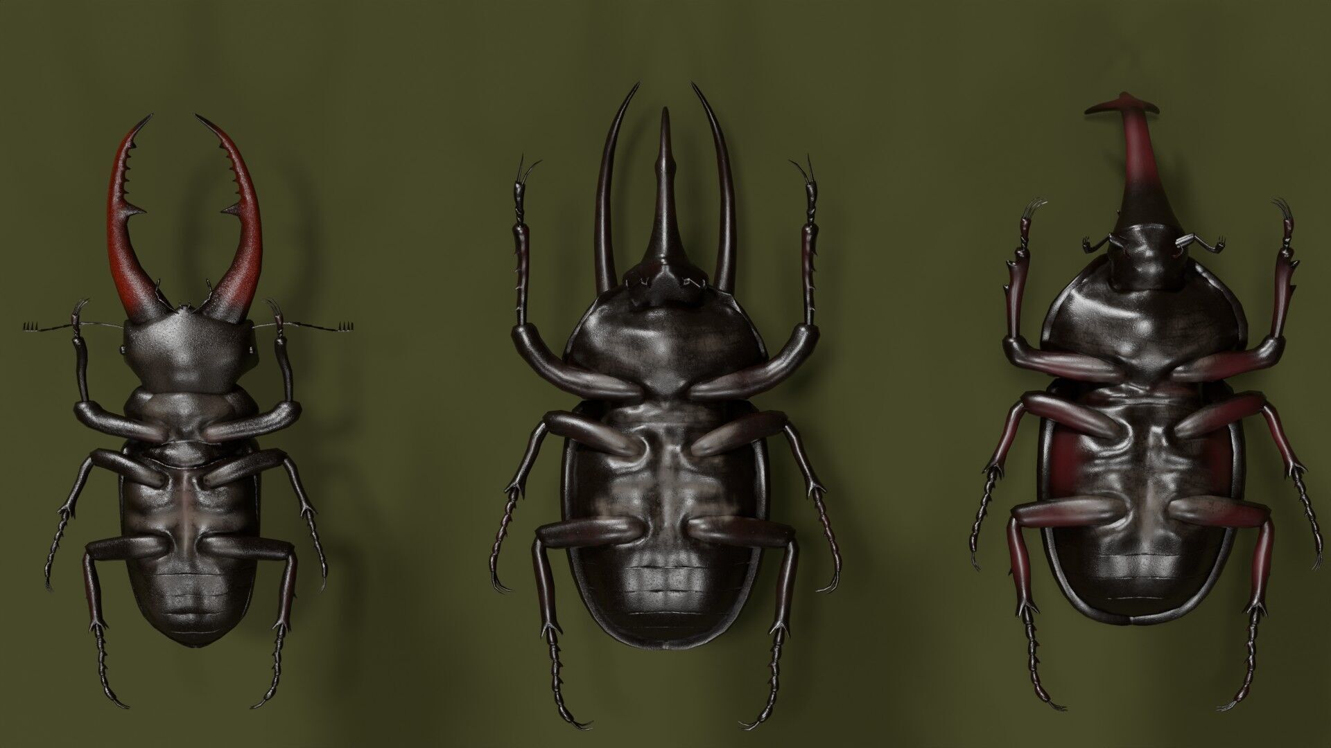 Stag rhinoceros atlas beetles realistic plus gold textures 3D model_6