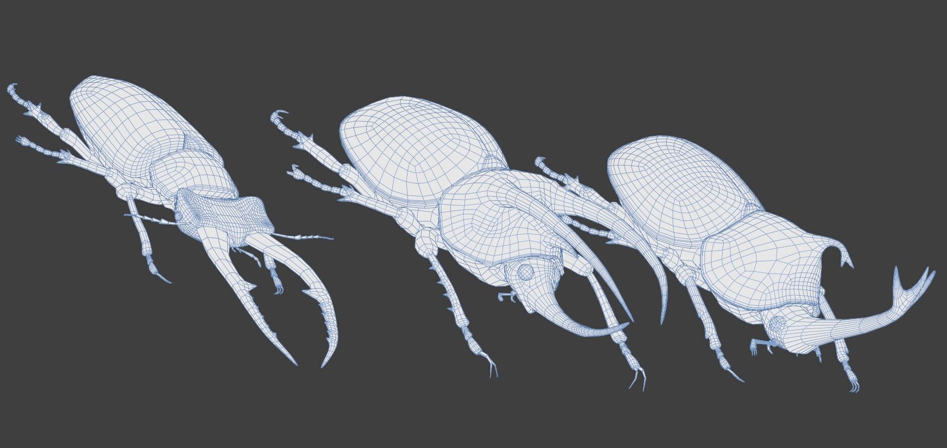 Stag rhinoceros atlas beetles realistic plus gold textures 3D model_13