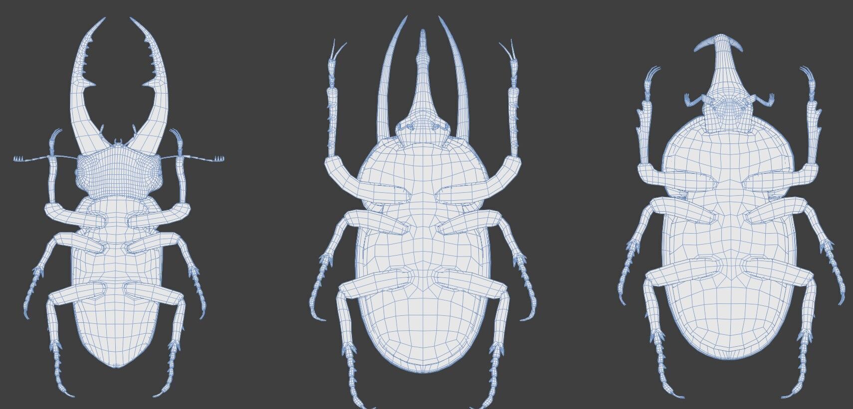 Stag rhinoceros atlas beetles realistic plus gold textures 3D model_11