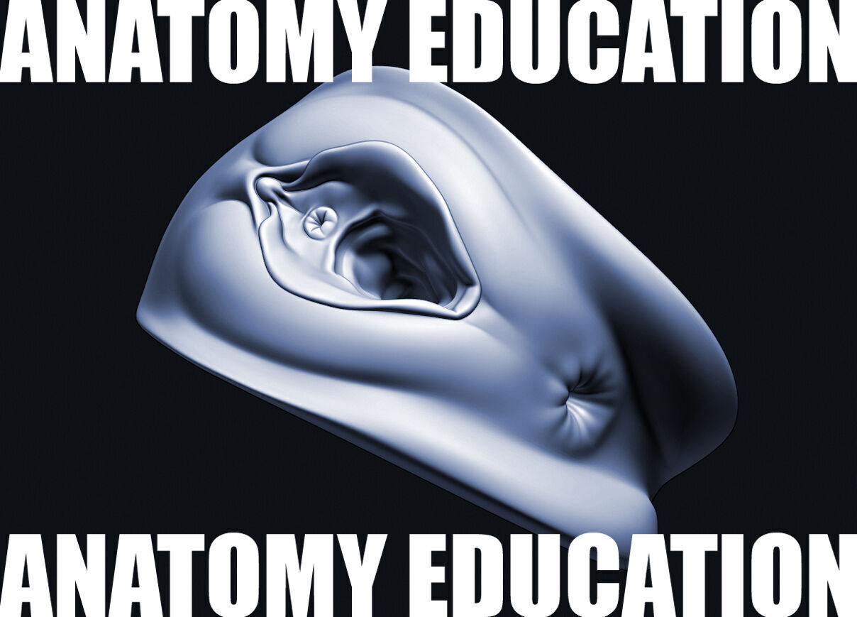 Female Genital Anatomy A-1 Low-poly 3D model_6