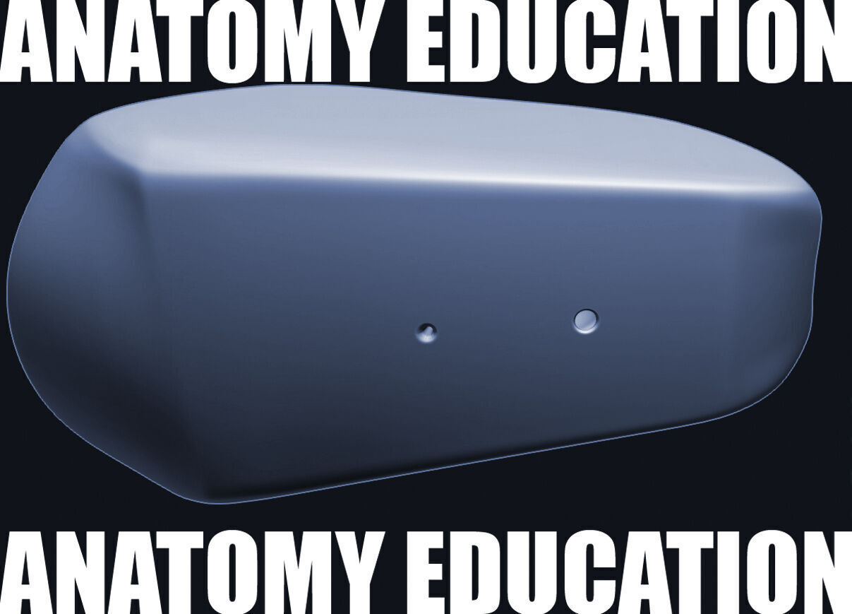 Female Genital Anatomy A-1 Low-poly 3D model_7