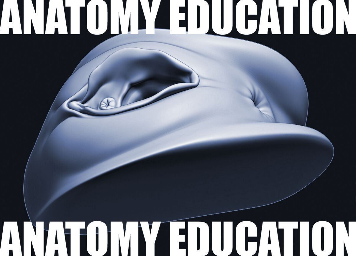 Female Genital Anatomy A-1 Low-poly 3D model_4