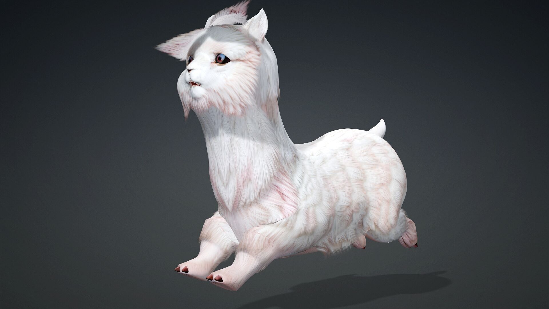 Alpaca-A2 3D model_6