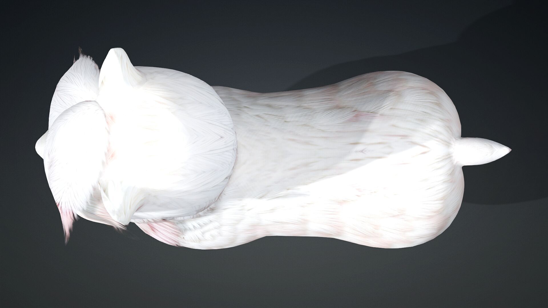 Alpaca-A2 3D model_11