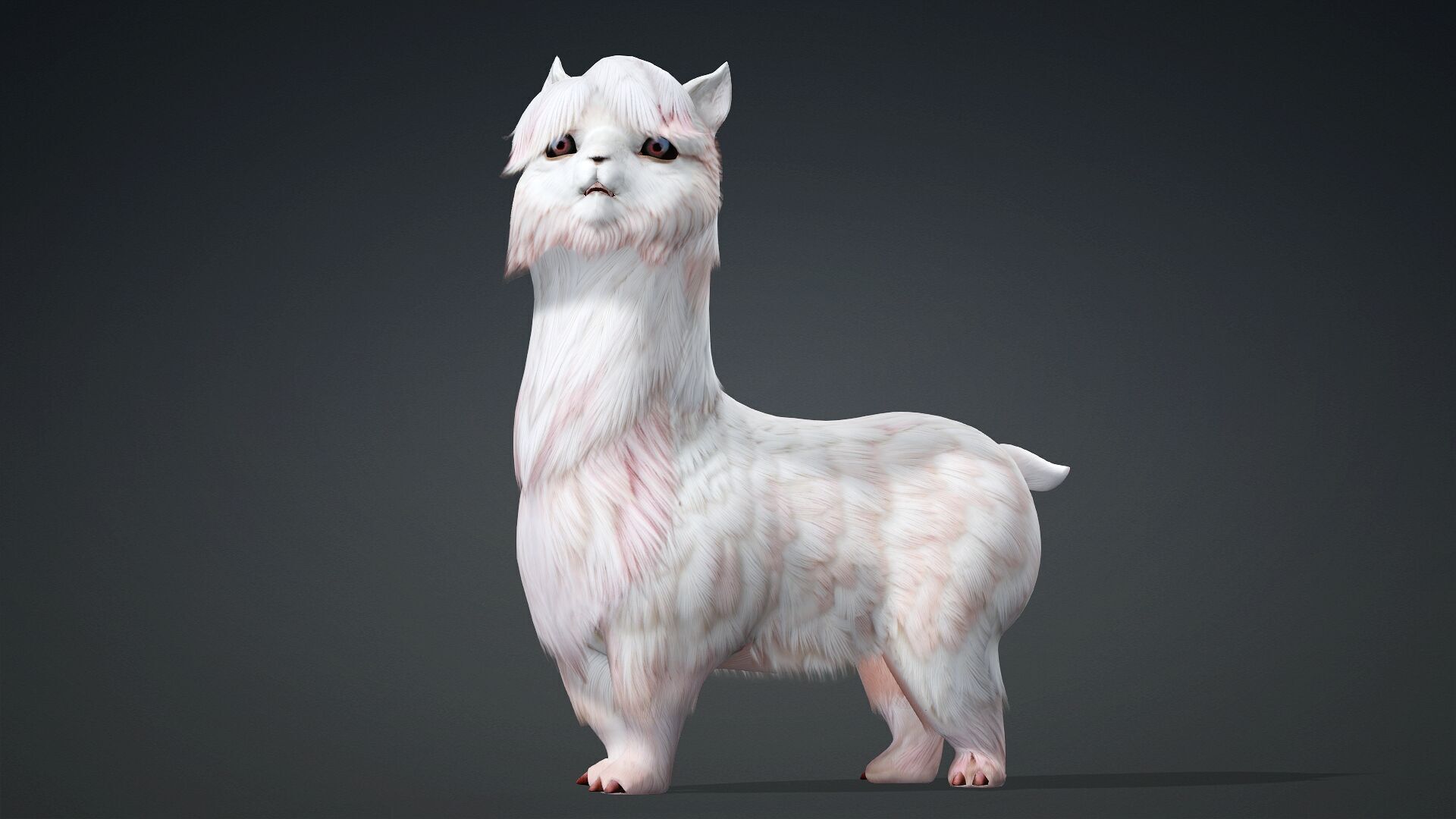 Alpaca-A2 3D model_4