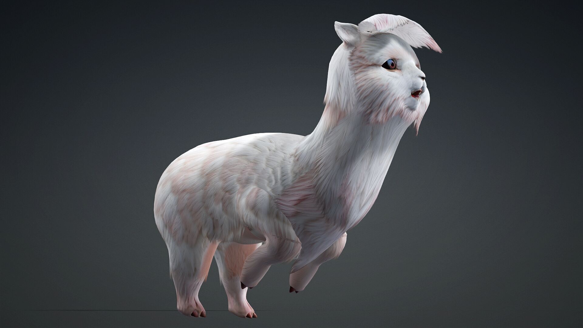 Alpaca-A2 3D model_7