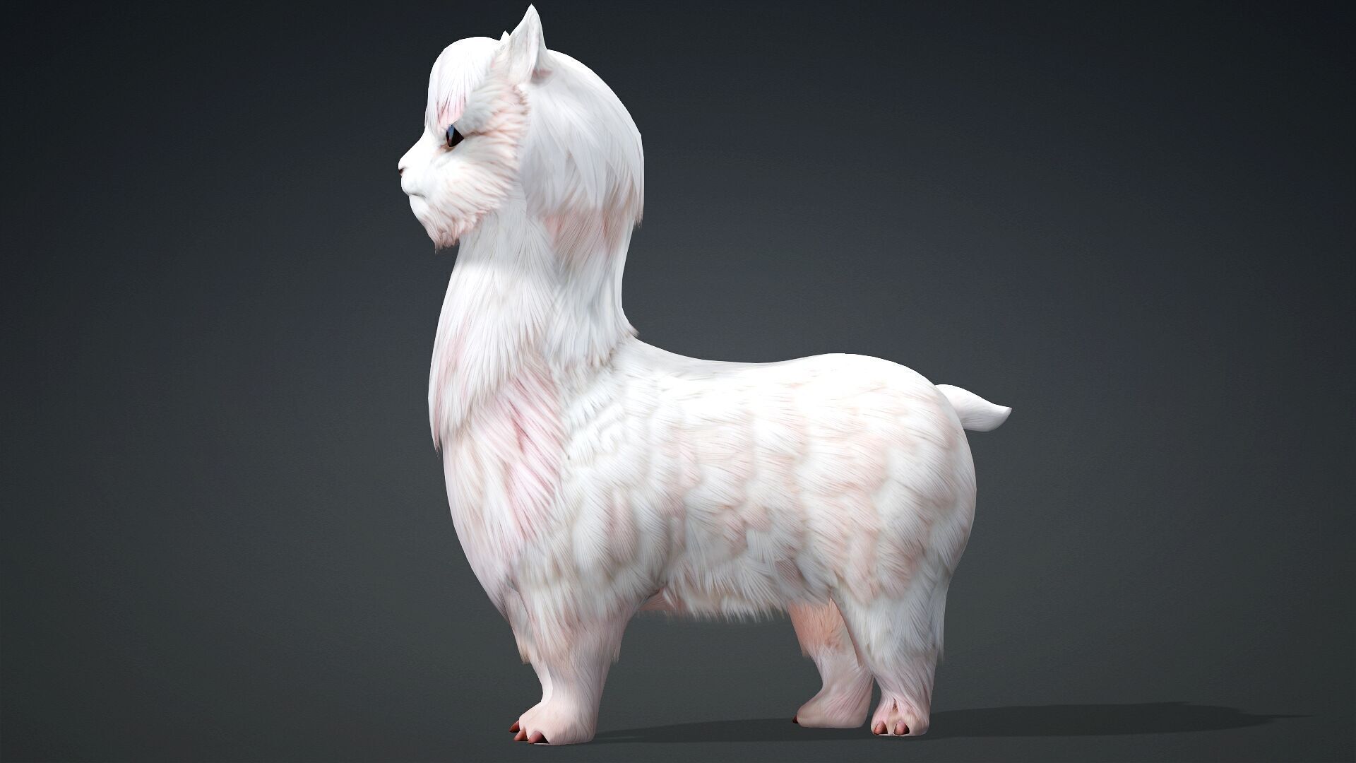 Alpaca-A2 3D model_3