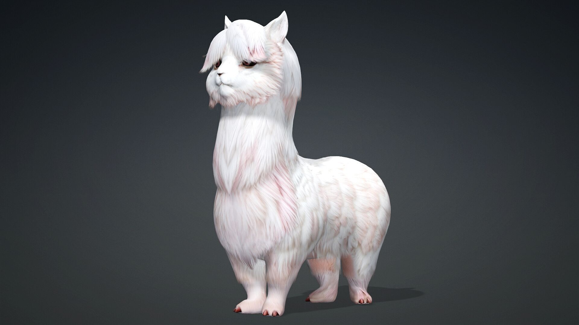 Alpaca-A2 3D model_8