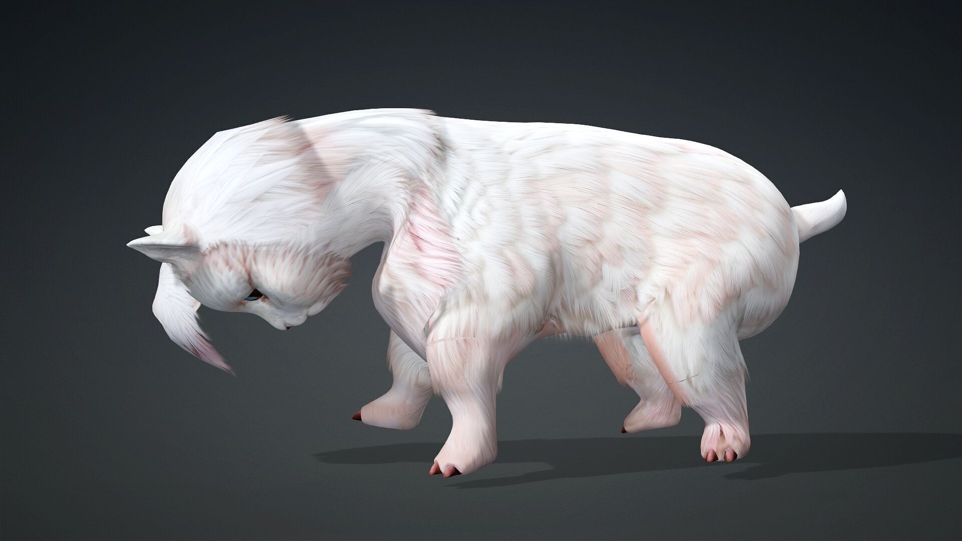 Alpaca-A2 3D model_5