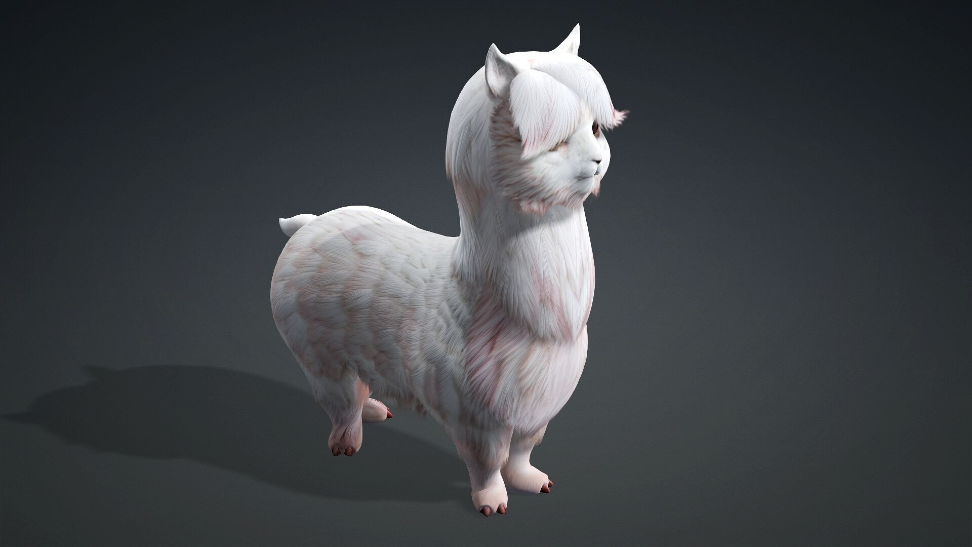 Alpaca-A2 3D model_10